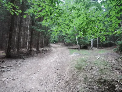 dscn2183.jpg