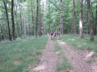 dscn2197.jpg