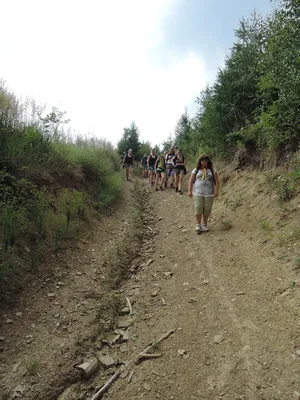 dscn2205.jpg