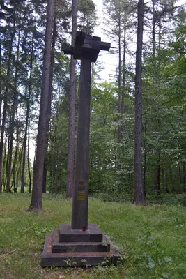 dsc-5453.jpg