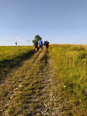 118.jpg