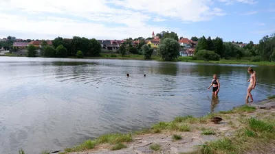 131.jpg