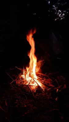 159.jpg
