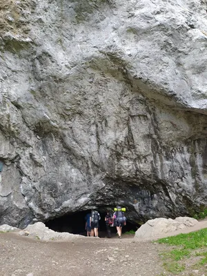 175.jpg