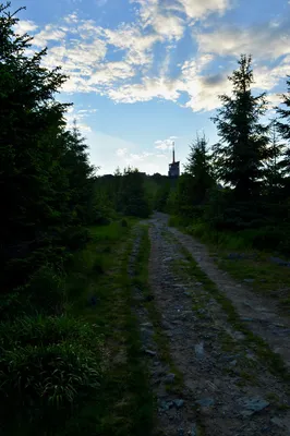dsc-4892.jpg