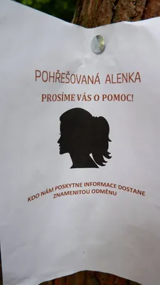 175.jpg