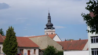319.jpg