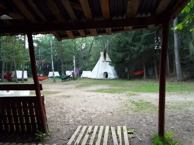 419.jpg
