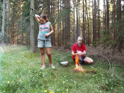 461.jpg