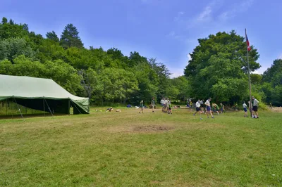 255.jpg