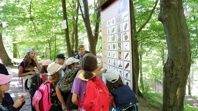 dscf5117.jpg