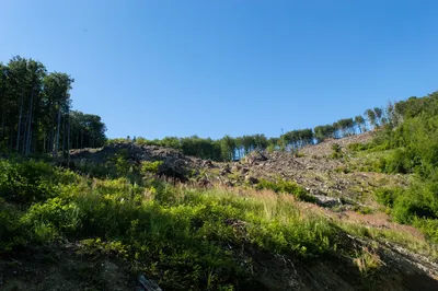 dsc9740.jpg