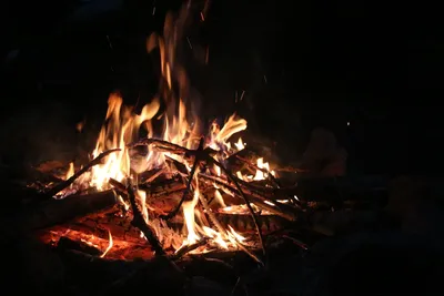 img-3971.jpg