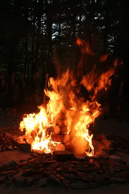 img-4806.jpg