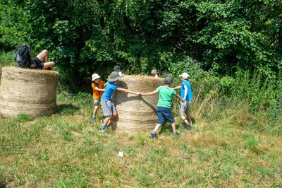 dsc1007.jpg