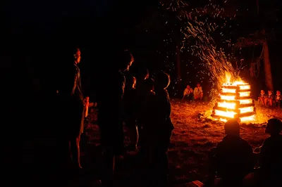 dsc2856.jpg