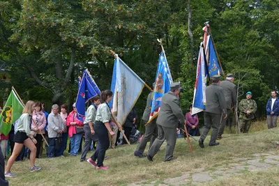 dsc-3465.jpg