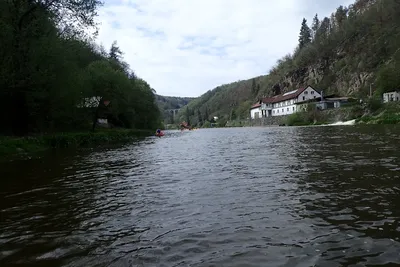p4271920.jpg