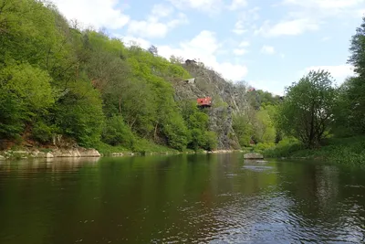 p4271930.jpg