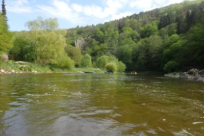 p4271940.jpg