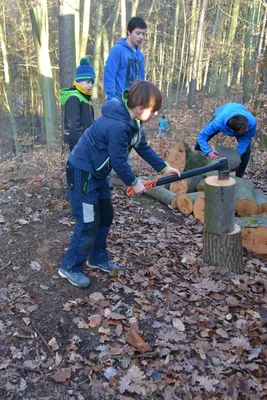 dsc-2315.jpg