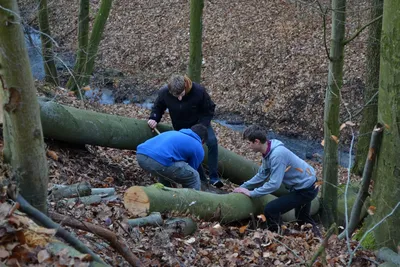 dsc-2337.jpg