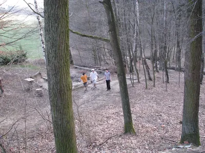 img-3251.jpg