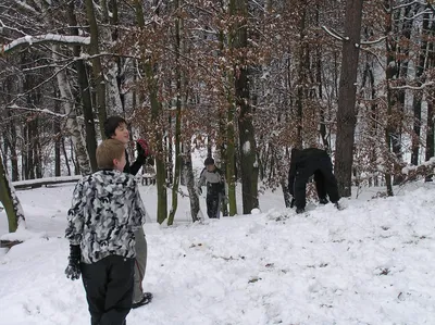 pb260094.jpg