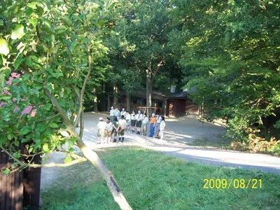100-8102.jpg