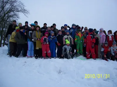 2010-sankovani